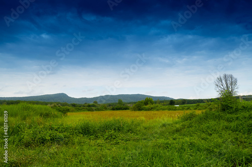 landscape view with blue sky or black sky  mountain  green forest and rock 