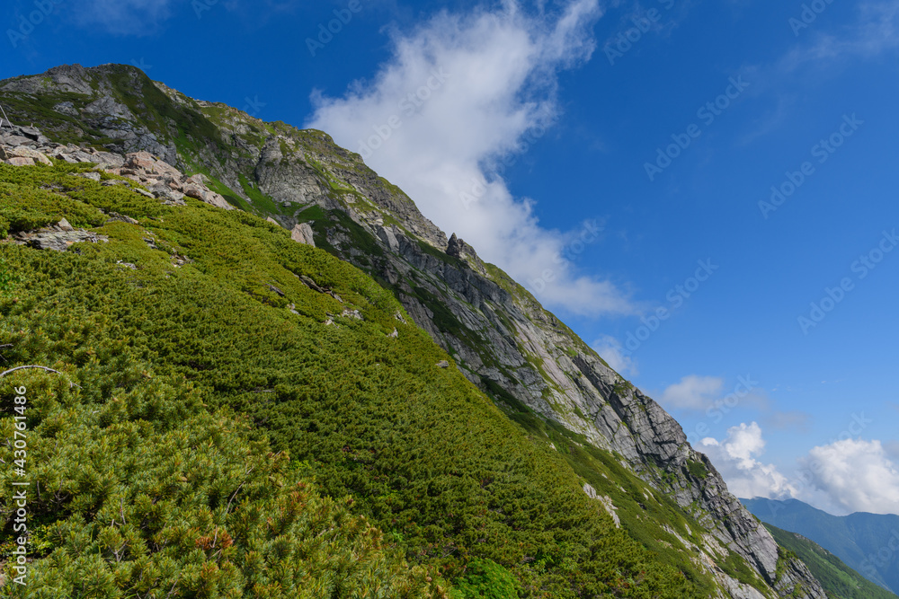 Fototapeta premium 夏の北岳