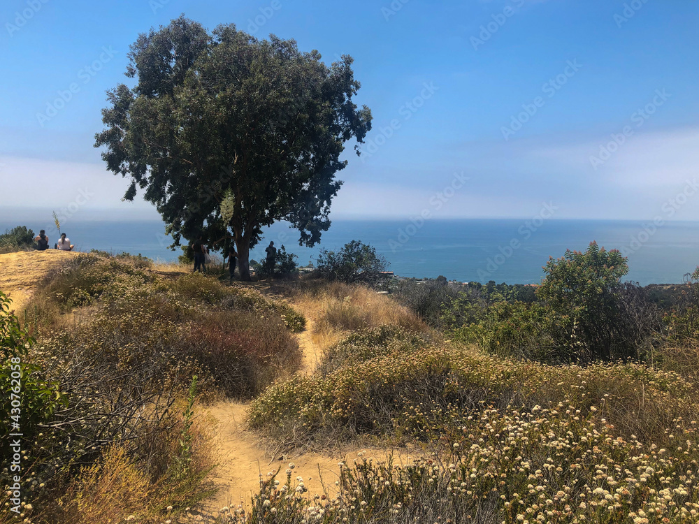 Beautiful nature landscape scenery with Pacific Ocean views from cliff