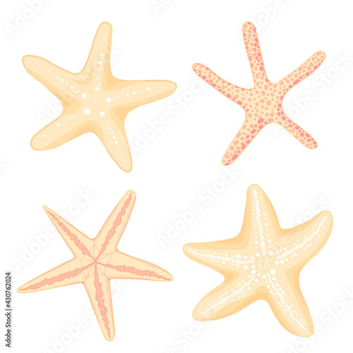 Hand drawn Starfish set, flat cartoon style. Aquarium fauna, reef habitats marine icon. Summer nature ocean aquatic underwater vector illustration for graphic design, web site. Sticker collection.