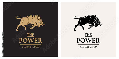 Luxury logo template bull design