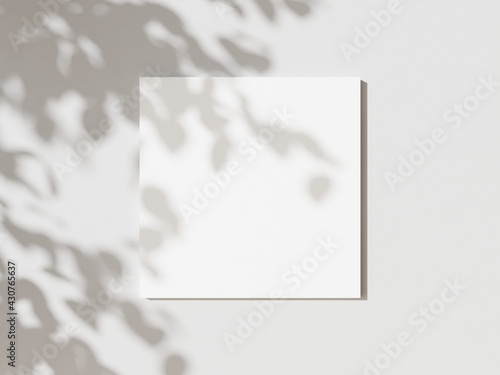 Empty white square poster mockup with soft hawthorn leaves shadows on neutral light grey concrete wall background. Flat lay, top view 3D illustration