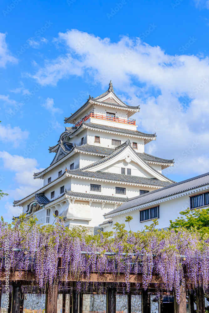 唐津城と藤の花 佐賀県唐津市 Karatsu Castle and Wisteria flowers Saga-ken Karatsu city 唐津城と藤の花 佐賀県唐津市 Karatsu Castle and Wisteria flowers Saga-ken Karatsu city