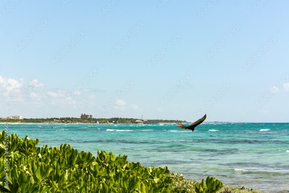 Tropical seascape with turquoise sea, Riviera Maya, Mexico Tropical seascape with turquoise sea, Riviera Maya, Mexico
