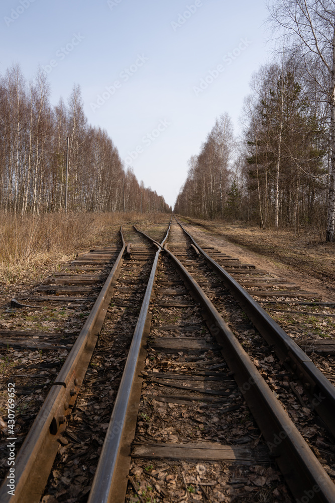 narrow-gauge railway in a swamp where small birches and other trees grow along the edge