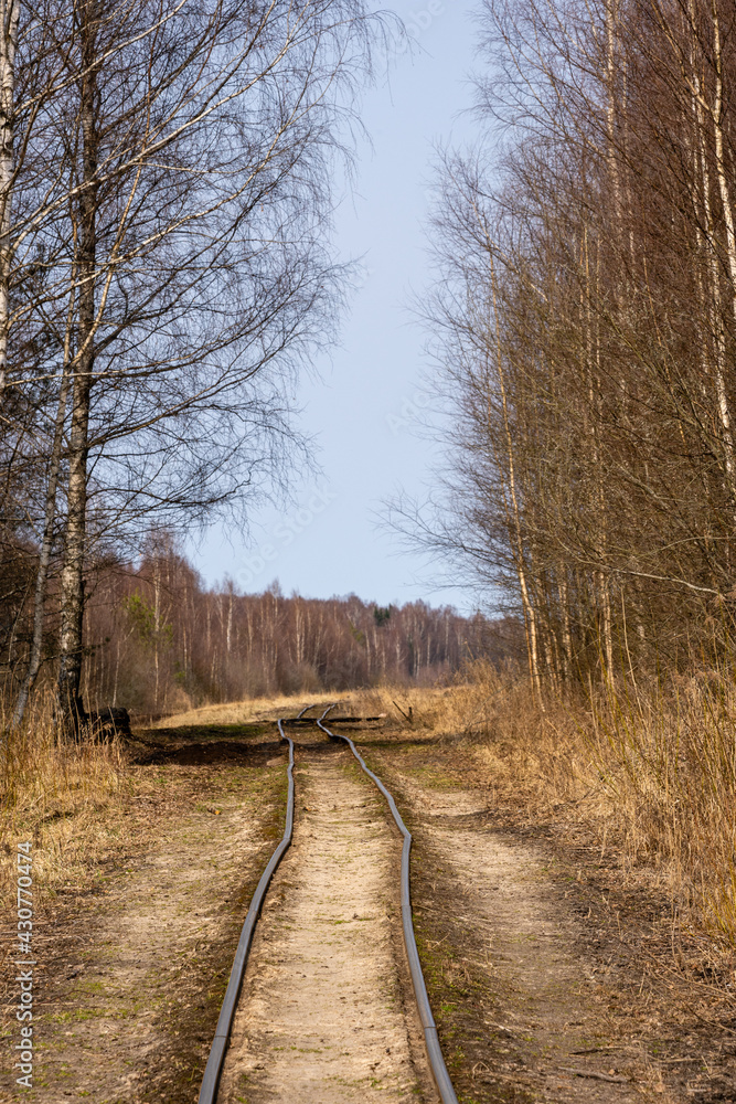 narrow-gauge railway in a swamp where small birches and other trees grow along the edge narrow-gauge railway in a swamp where small birches and other trees grow along the edge