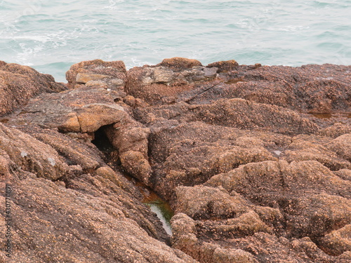 rocky coast of the sea