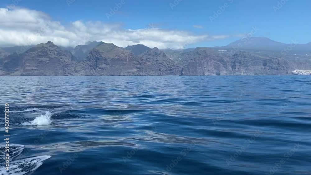 Two bottlenose dolphins jumping out of the water at Tenerife Canary islands Spain, Pan right slow motion follow shot Two bottlenose dolphins jumping out of the water at Tenerife Canary islands Spain, Pan right slow motion follow shot