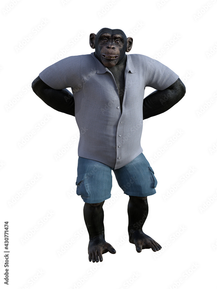 Illustration of a chimpanzee wearing shorts and a shirt standing with both hands behind his back with a smile on his face Illustration of a chimpanzee wearing shorts and a shirt standing with both hands behind his back with a smile on his face