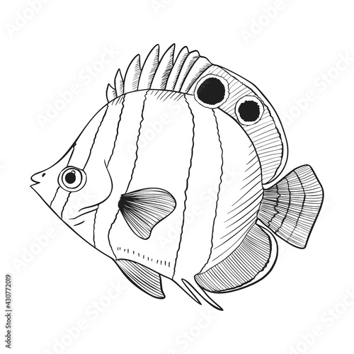 Reef Fishes Sketch Vector Illustration. Hand Drawn Underwater Animals Set. Realistic Nature Elements for Fishing Store, Seafood Design.