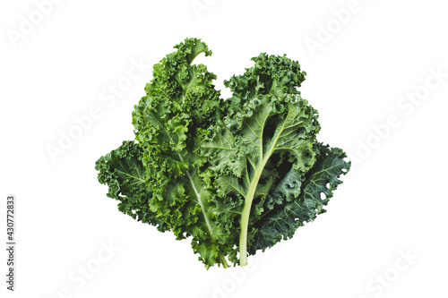 Photos Kale fresh leaves isolated on white background
