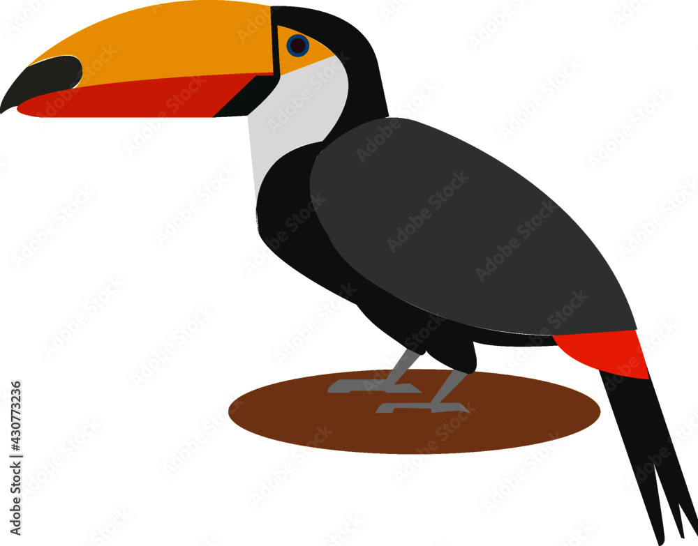 Obraz premium Toucan bird cartoon character. Cute toucan flat vector isolated on white color. South American fauna. Wild animal illustration for zoo advertisement, nature concept, children's book illustration