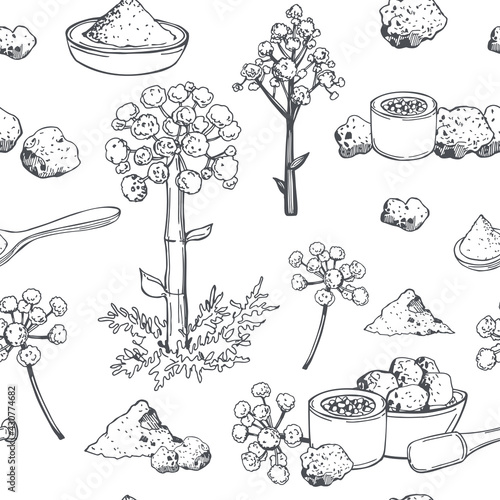 Asafoetida-indian spice.Vector pattern.