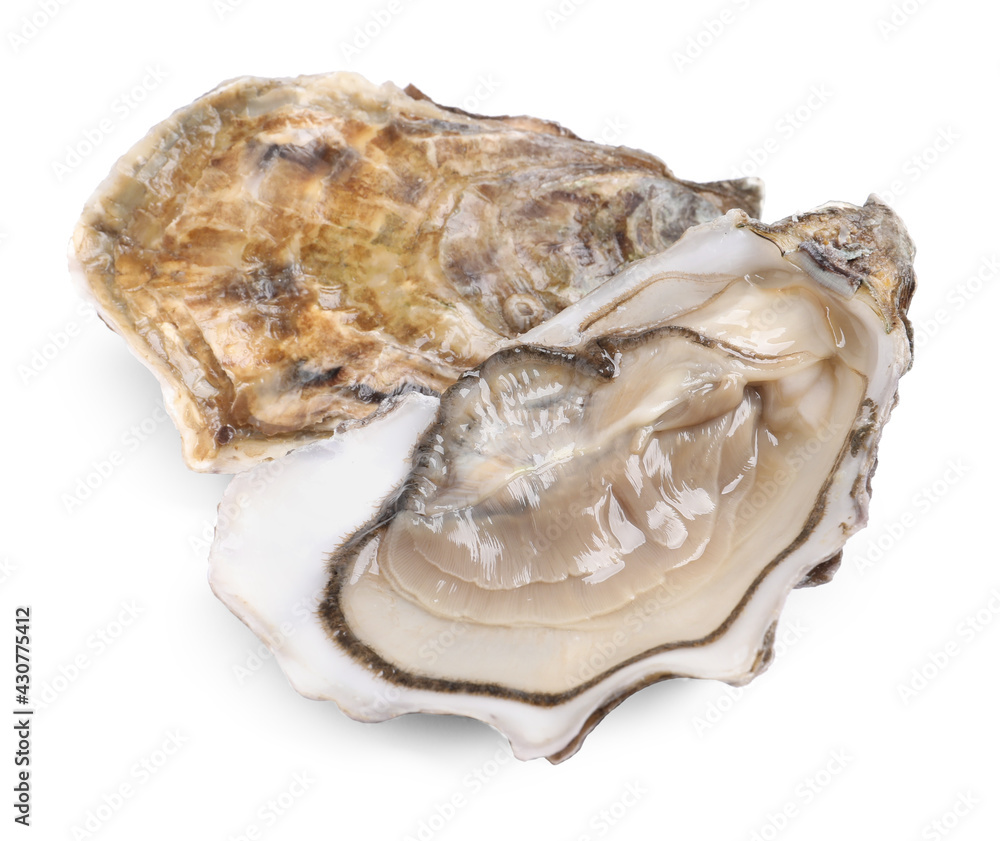 Fresh raw closed and open oysters on white background