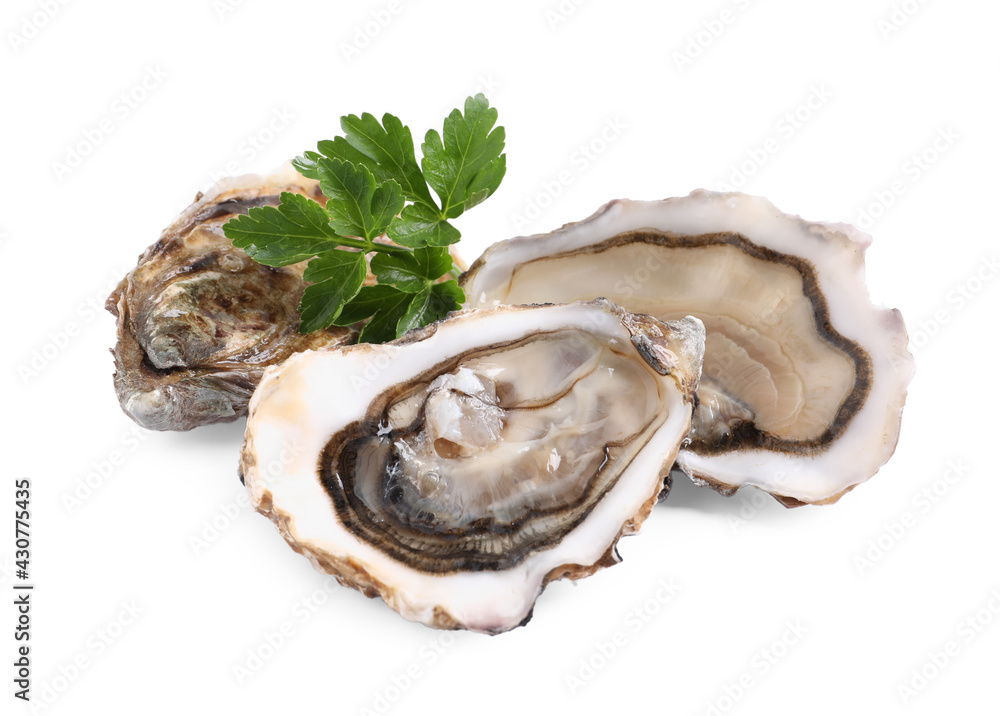 Fresh raw oysters served on white background Fresh raw oysters served on white background