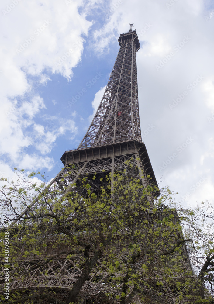   View of the Eiffel Tower with flowering trees