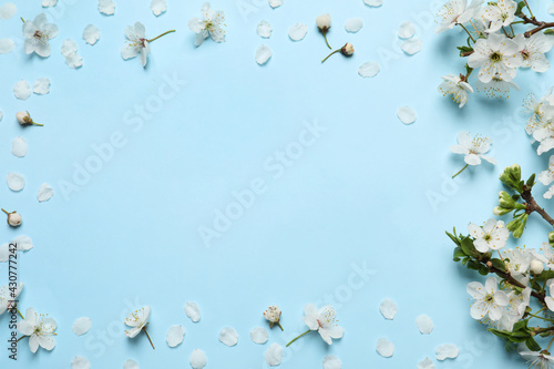 Frame of spring tree blossoms on turquoise background  flat lay. Space for text