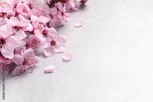 Fototapeta Naklejka Na Ścianę i Meble -  Sakura tree branch with beautiful pink blossoms on light stone table, closeup. Space for text