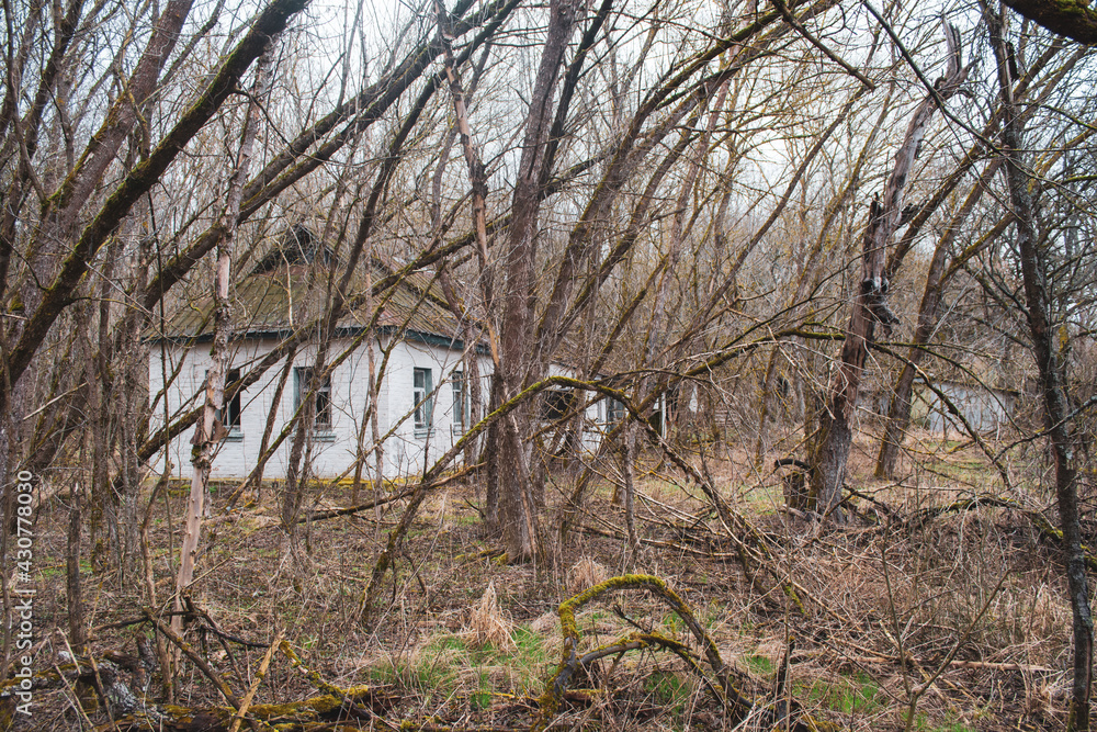 Obraz premium abandoned village in the Chornobyl Exclusion Zone