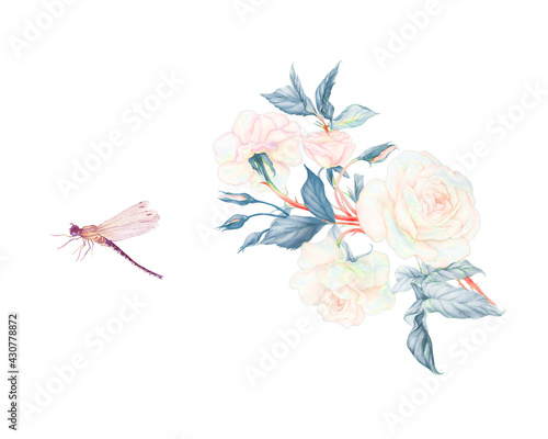 Dragonflies, butterflies, birds and various flowers