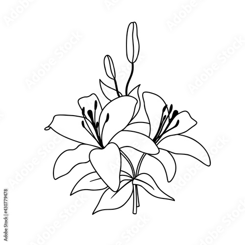 A bouquet with flowers of a blooming lily.