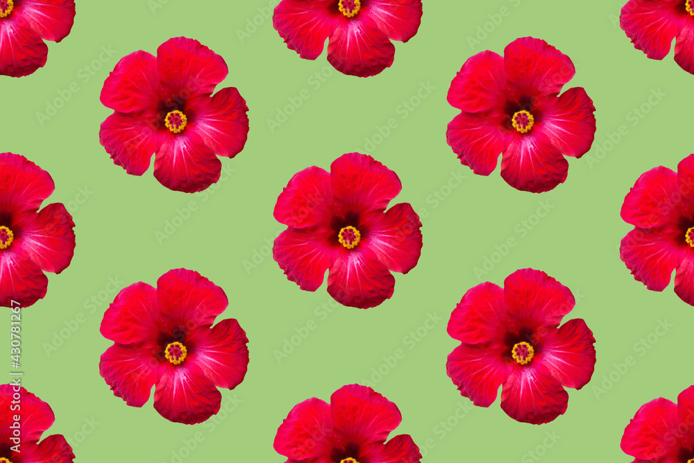 Seamless floral pattern from red hibiscus flowers on green background. Tropical summer backdrop for wellness spa natural cosmetics concept Seamless floral pattern from red hibiscus flowers on green background. Tropical summer backdrop for wellness spa natural cosmetics concept