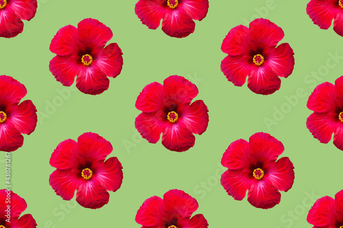 Seamless floral pattern from red hibiscus flowers on green background. Tropical summer backdrop for wellness spa natural cosmetics concept