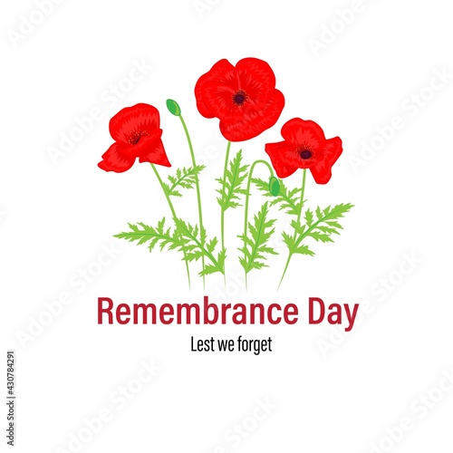 vector illustration for second world war remembrance day-lest we forget