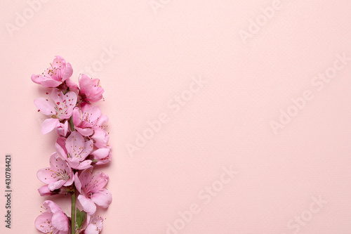 Beautiful sakura tree blossoms on beige background  top view. Space for text
