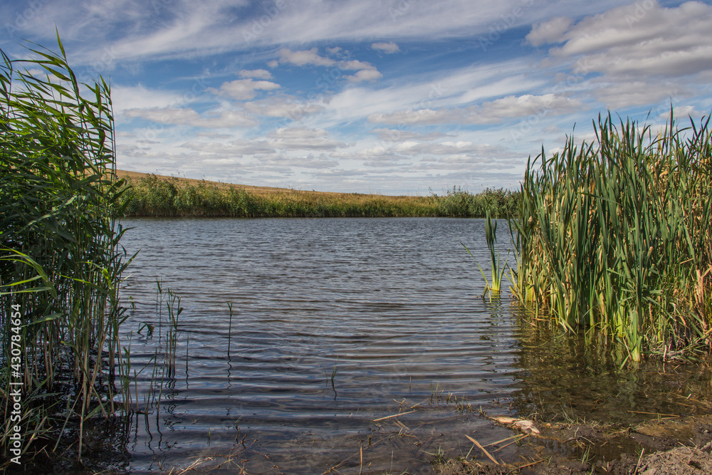 river and reeds, river near the village, nature of Kazakhstan, beautiful river, landscape