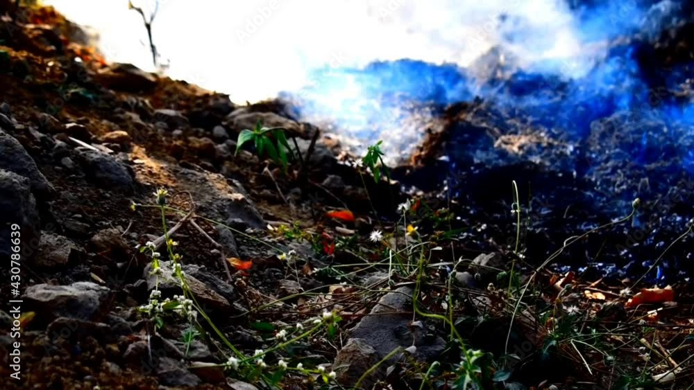 aerial view of smoking wildfire. Large smoke clouds and fire spread, Dry grass burning. Climate change, ecology, earth aerial view of smoking wildfire. Large smoke clouds and fire spread, Dry grass burning. Climate change, ecology, earth