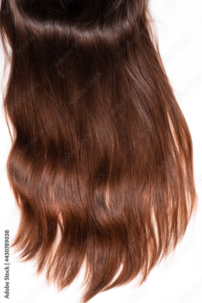 Strand of dark brown hair on a white background Strand of dark brown hair on a white background