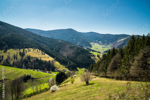 Germany, Schwarzwald mountains and valley nature landscape panorama view above the forested green scenery in spring