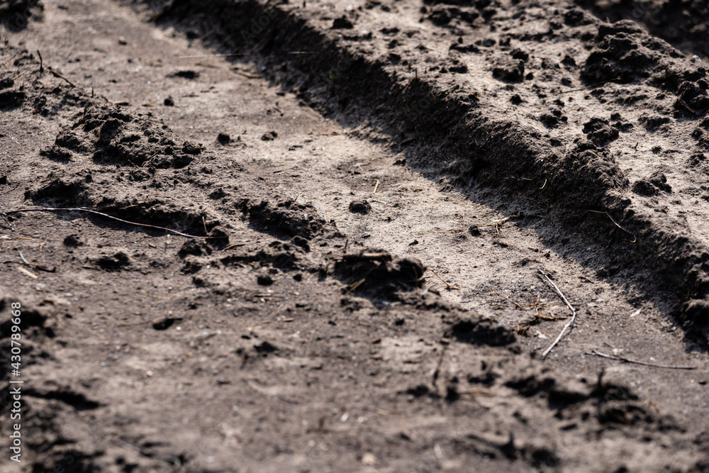 the muddy road is dry in the sun and plays an interesting pattern and imprints