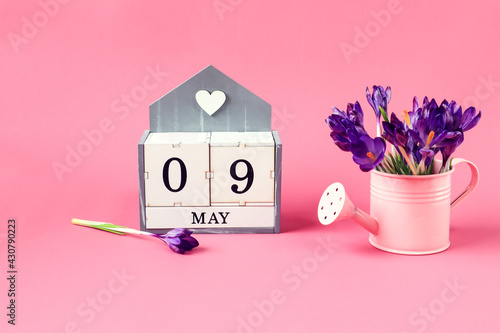 Calendar for May 9  cubes with the numbers 0 and 9  the name of the month of May in English a pink watering can with a bouquet of purple crocuses on a pink background