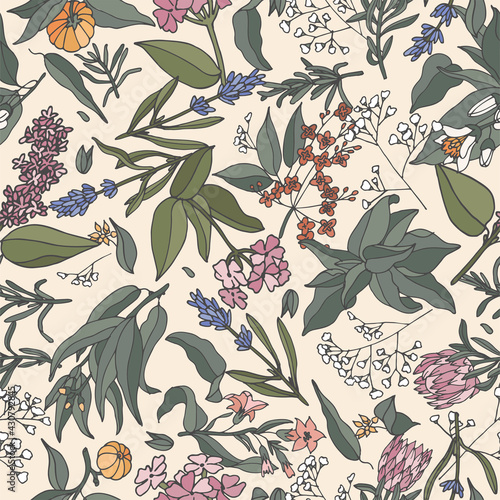 Vector illustration - seamless pattern with plants, herbs and flowers. Flowers background for cosmetics packaging.