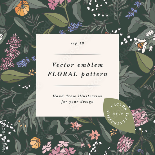 Hand drawn perfumery and cosmetics ingredients banner. Decorative background with vintage aromatic plants, fruits, spices, herbs for perfumery. Organic cosmetics design template. Aromatic plants flyer