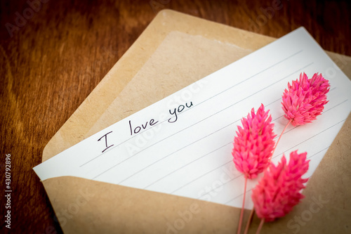 Declaration of love in a letter: the phrase "I love you" on lined paper in a craft envelope. Near pink dried flowers