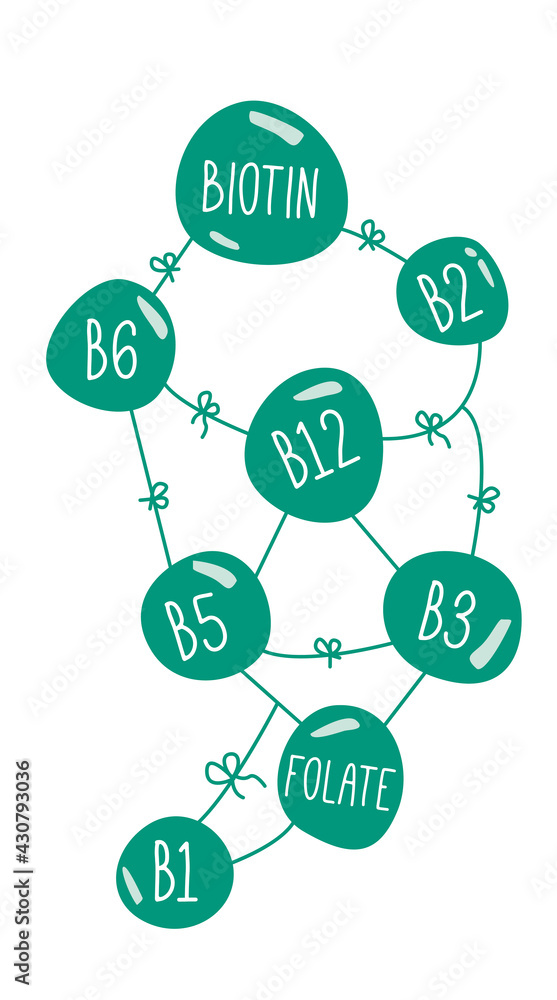 Vitamins B complex doodle concept. Team working of Vitamins B group in flat design. nutritional supplements, biotin, folate. Cartoon. Vitamins B complex doodle concept. Team working of Vitamins B group in flat design. nutritional supplements, biotin, folate. Cartoon.