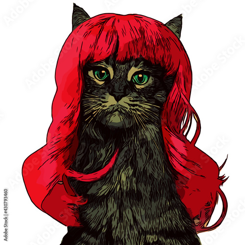 Cat wearing wig colored vector warm tone