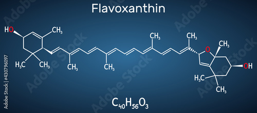 Flavoxanthin molecule. It is xanthophyll golden-yellow color pigment, food additive, E161a. Structural chemical formula on the dark blue background