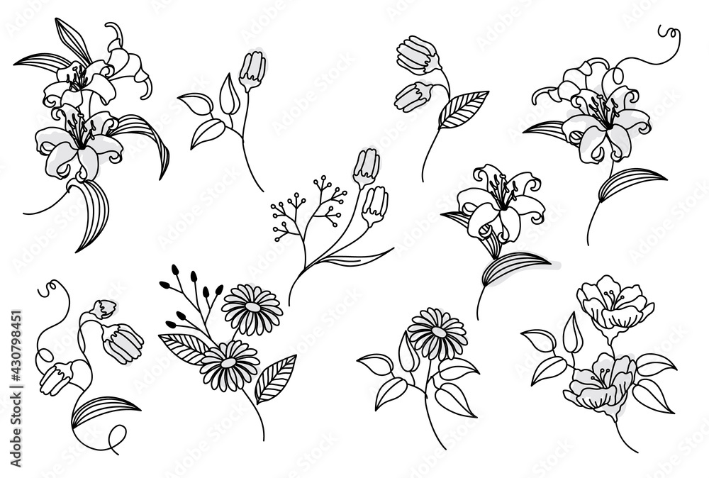 Fototapeta premium 線画の花ベクターイラストセット