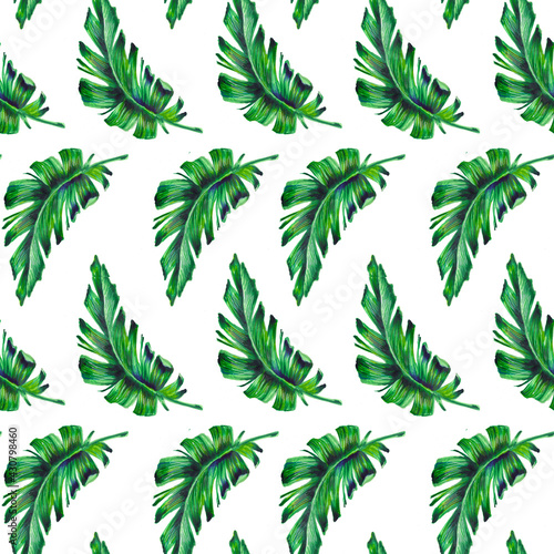 Beach cheerful seamless wallpaper with a pattern of juicy green leaves in a banana. seamless exotic leaf pattern. Watercolour botanical illustration