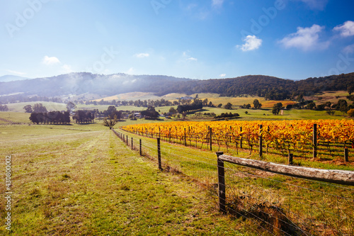 Yarra Valley Vineyard and Landscape in Australia