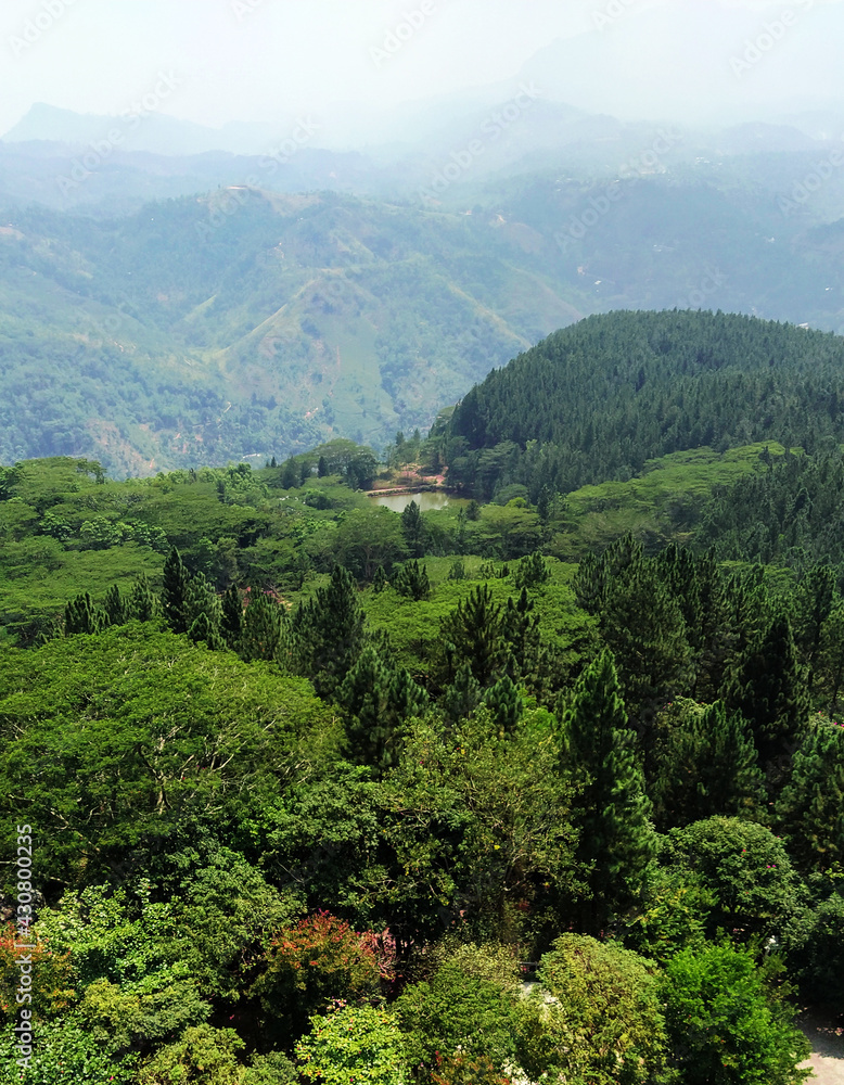 Greenish view from Gampola Mountain - Ceylon.
