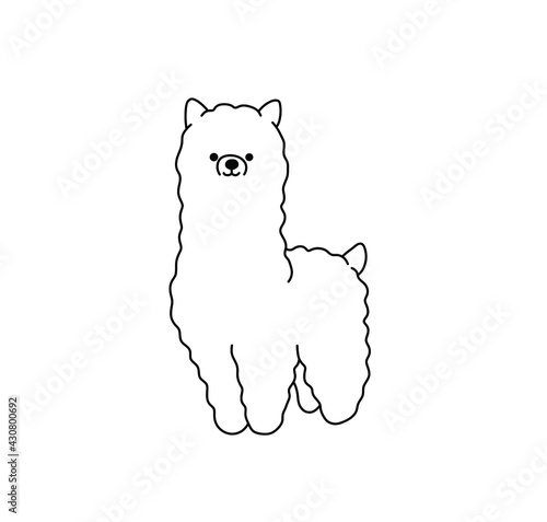 Vector isolated cute cartoon lama alpaca line drawing. Colorless contour alpaca doodle outline sketch.