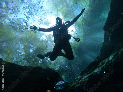 Wallpaper Mural Plunge  Torontodigital.ca