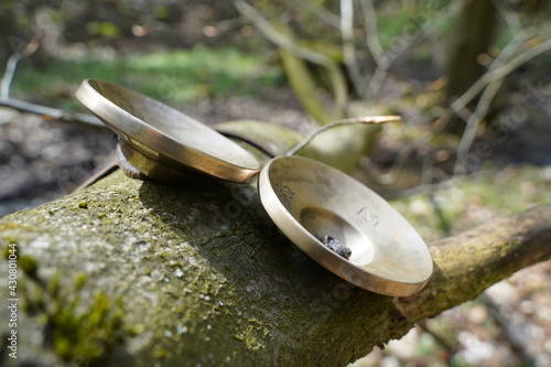 Cymbals close up for sound healing therapy lying on a branch in the forest photo