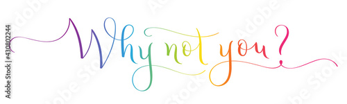 WHY NOT YOU? colorful vector brush calligraphy banner isolated on white background