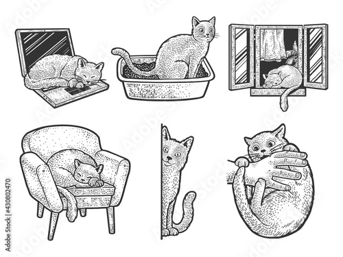 Cat set sketch engraving vector illustration. T-shirt apparel print design. Scratch board imitation. Black and white hand drawn image.